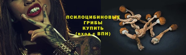 ПСИЛОЦИБИНОВЫЕ ГРИБЫ Армянск