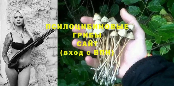 соль курить ск Аркадак