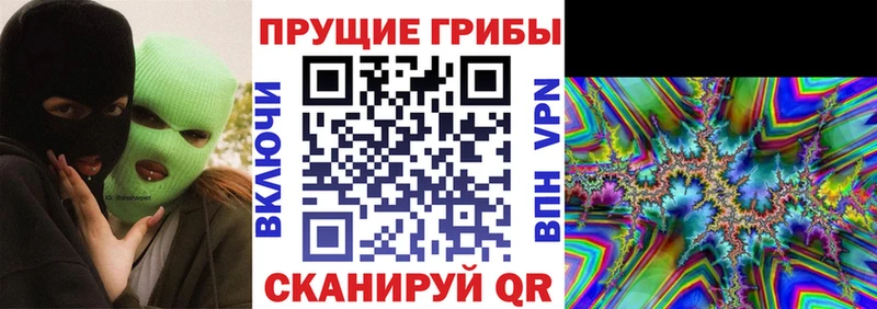 ОМГ ОМГ вход  Звенигово  Галлюциногенные грибы мухоморы 